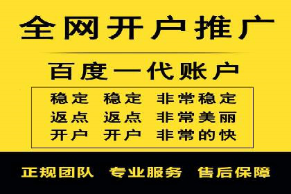 百度竞价赚钱攻略：实战案例分享
